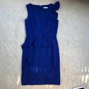 Blue Calvin Klein Dress